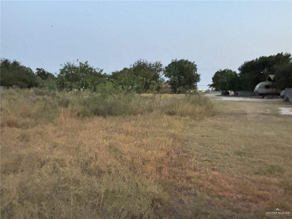 2009 W Owassa Road, Edinburg, Texas image 1