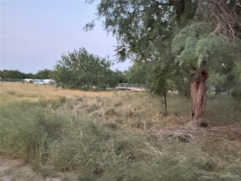 2009 W Owassa Road, Edinburg, Texas image 2