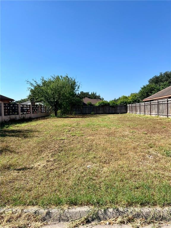 3505 Queta Avenue, McAllen, Texas image 8