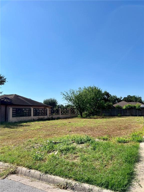 3505 Queta Avenue, McAllen, Texas image 10