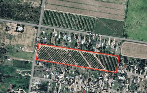 Vacant Land For Sale - 00 Western Road<br/> Mission, TX 78574