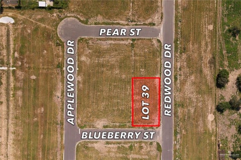 Vacant Land For Sale - 0039 Blueberry Street<br/> Weslaco, TX 78596