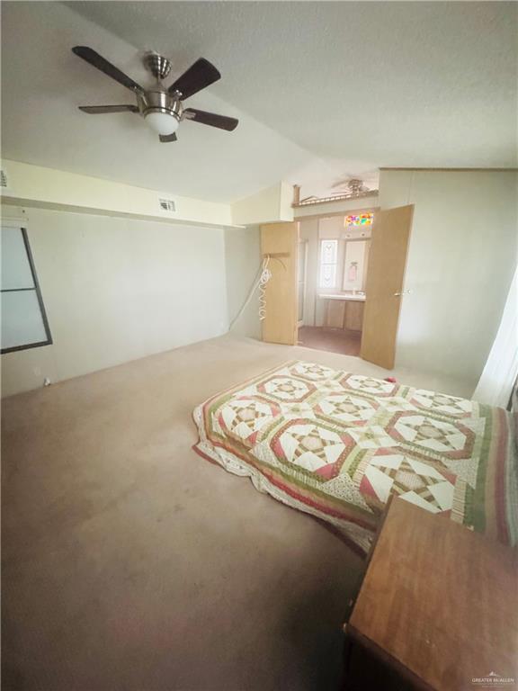 209 Buckboard Drive, Mission, Texas image 13