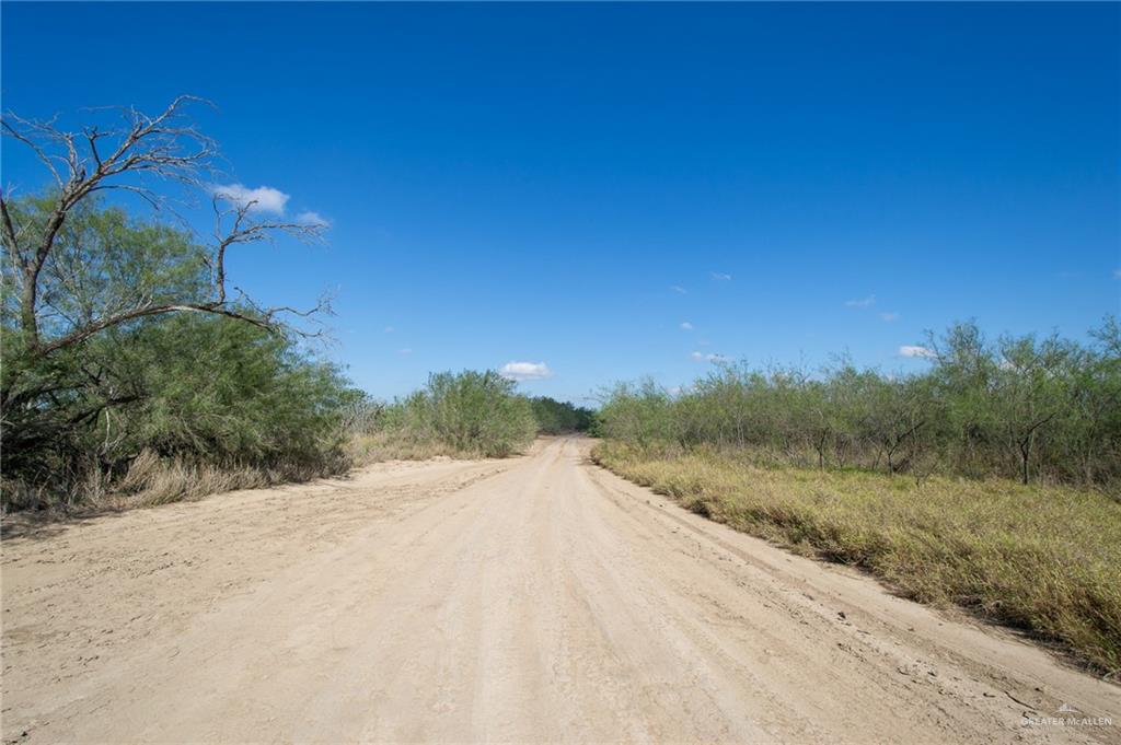 TBD S Clay Street, Rio Grande City, Texas image 25