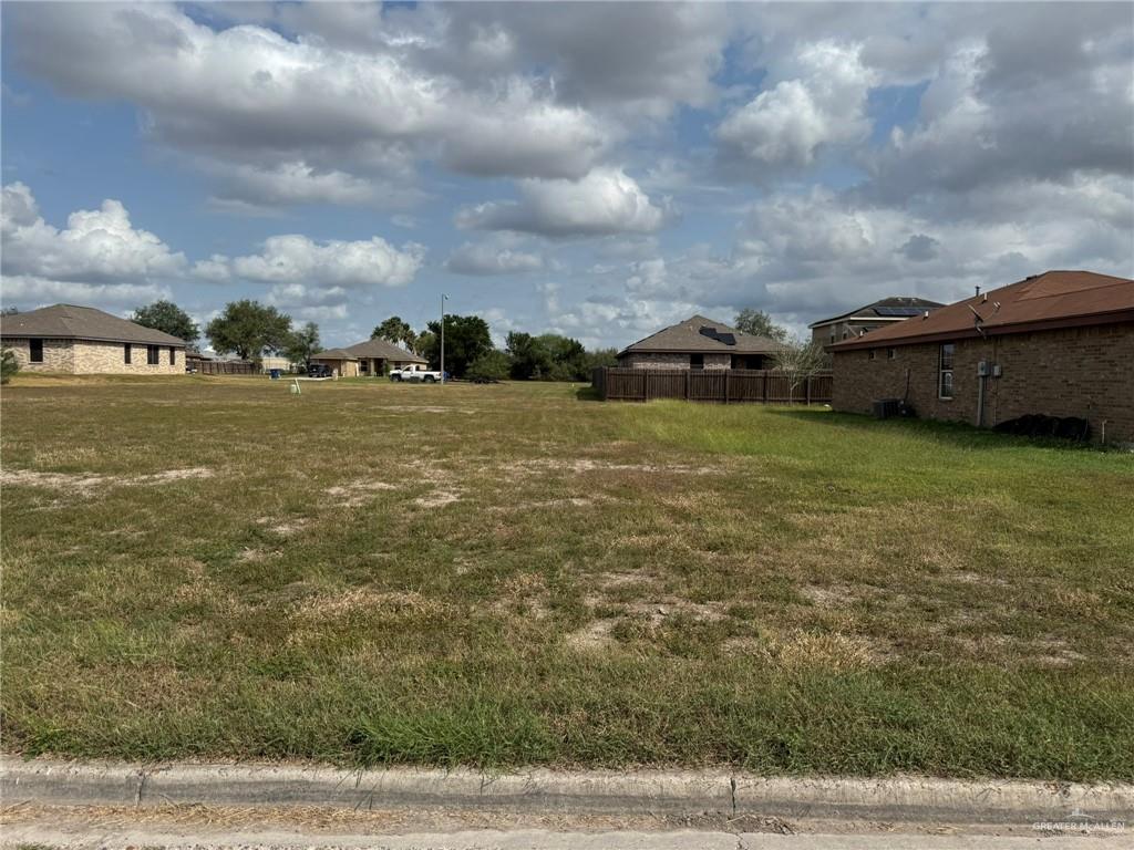 000 David Avenue, Mercedes, Texas image 1