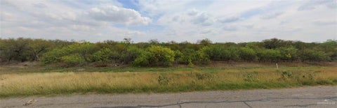Vacant Land For Sale - 21703 Los Venados Drive<br/> Hidalgo County, Edinburg, TX 78542
