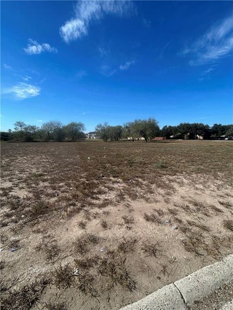 Vacant Land For Sale - 00 Country Estates Drive<br/> Starr County, Rio Grande City, TX 78582