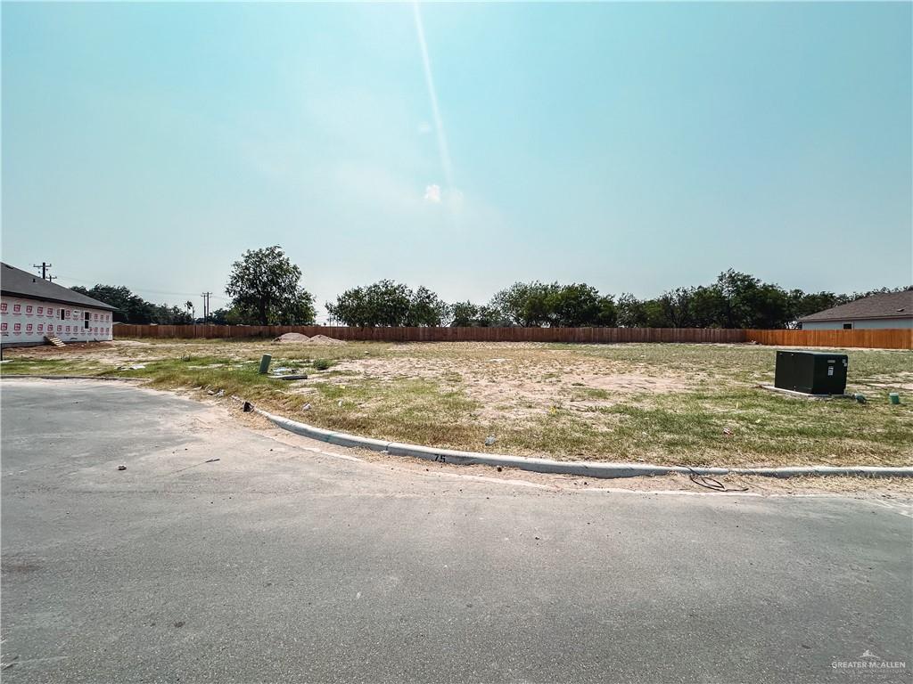 8011 N 49th Lane, McAllen, Texas image 1