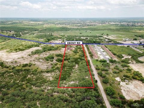 Homes For Sale - 771 Ebony Avenue<br/> Starr County, Roma, TX 78584