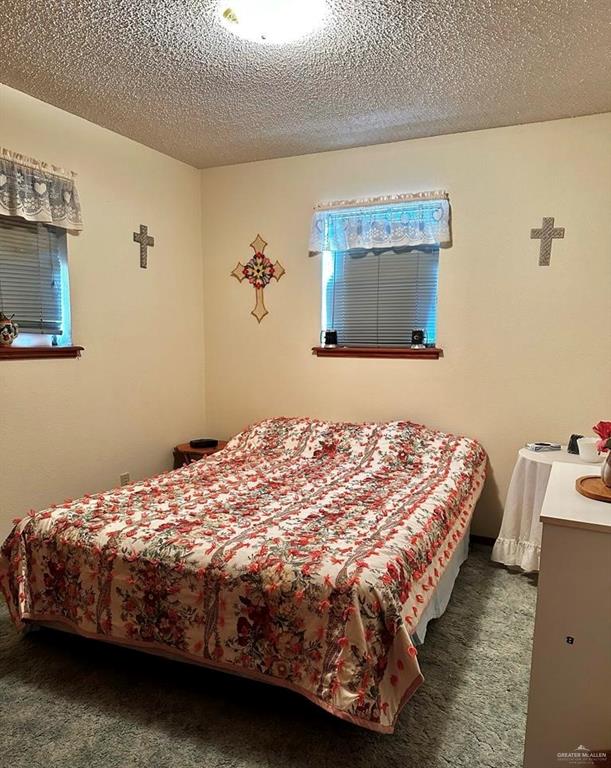 215 Valley View Road, Donna, Texas image 10