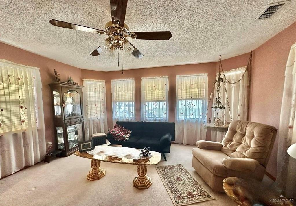215 Valley View Road, Donna, Texas image 6