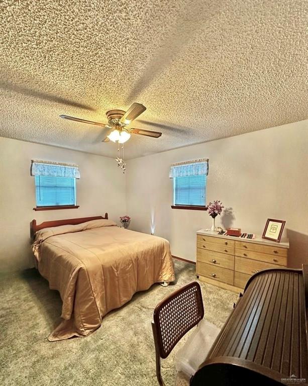 215 Valley View Road, Donna, Texas image 7