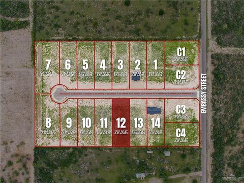 Vacant Land For Sale - 105 Starrview Drive<br/> Starr County, Rio Grande City, TX 78582