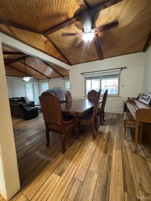 508 Kerria Avenue, McAllen, Texas image 5