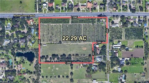 0 Buddy Owens Road Palmhurst TX 78573