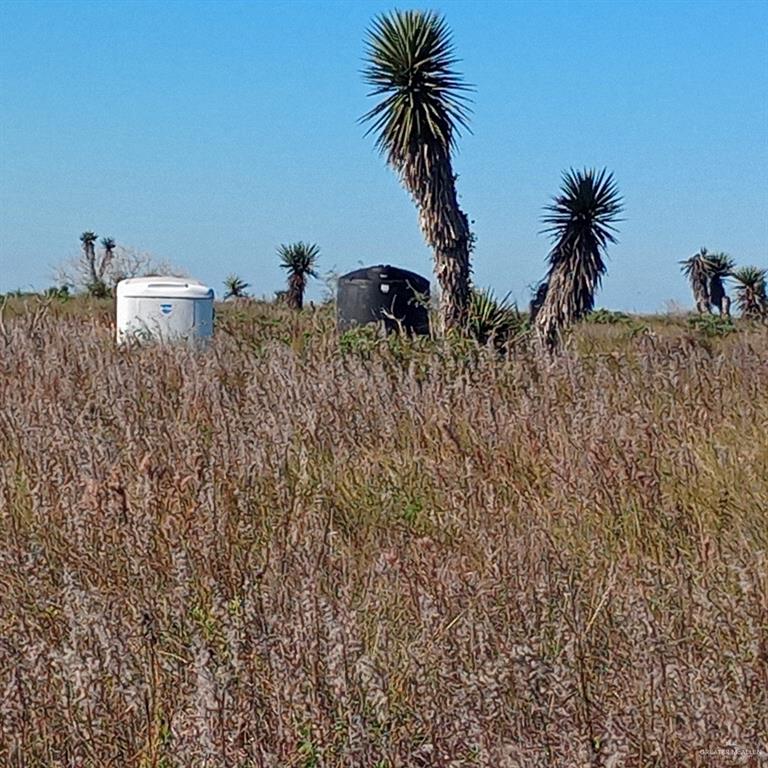11 Hwy 4, Brownsville, Texas image 6