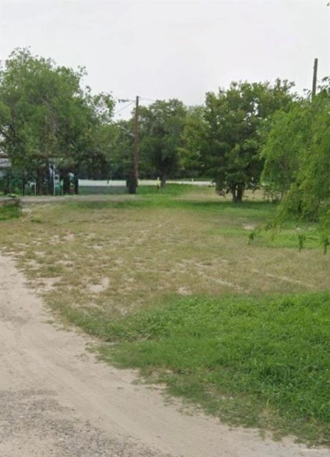 Vacant Land For Sale - N Fm 649 Freeway<br/> Starr County, Rio Grande City, TX 78582