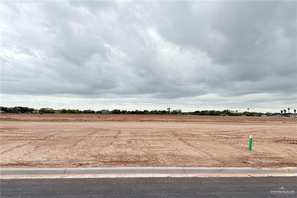 1401 LAS BRISAS DR, MISSION, TX 78574 - Image ef96c4e28da2c2799400bfc27088aa88/955021400