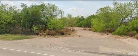 Vacant Land For Sale - TBD Fm 490<br/> Starr County, Rio Grande City, TX 78582
