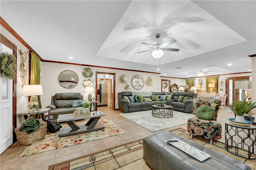 143 E David Ybarra Street, Elsa, Texas image 5