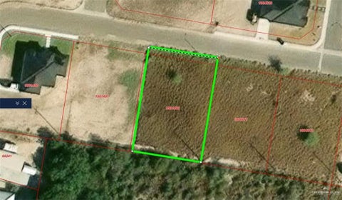 Vacant Land For Sale - 304 Palomino Street<br/> Starr County, Rio Grande City, TX 78582
