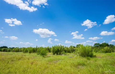 Vacant Land For Sale - 35700 Fm 3250<br/> Linn, TX 78563