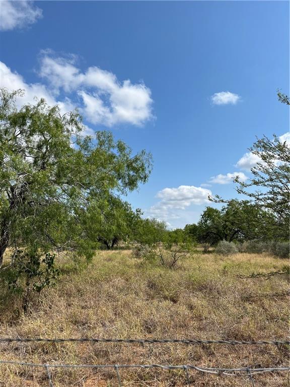 4953 Fm 1017 Highway, San Isidro, Texas image 33