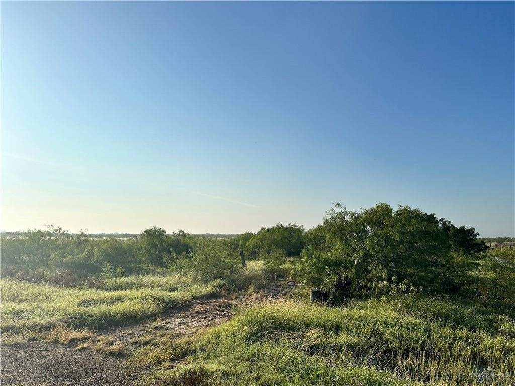 29078 Amigo Lane, San Benito, Texas image 3