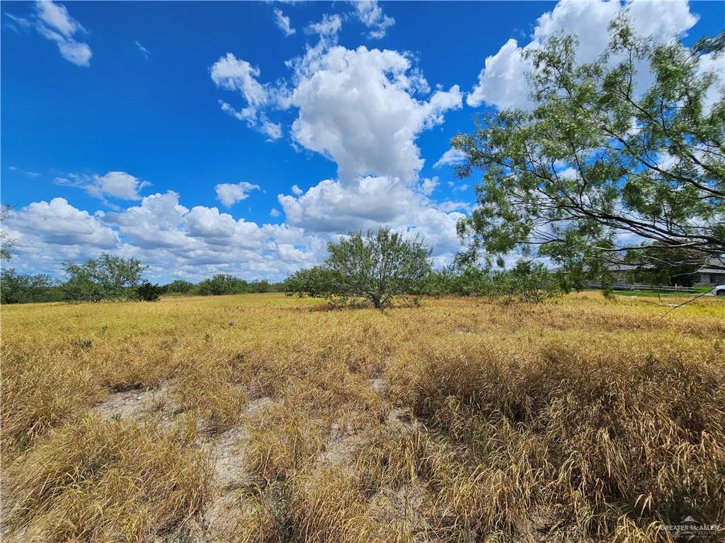 210 Carla Street, Zapata, Texas image 1