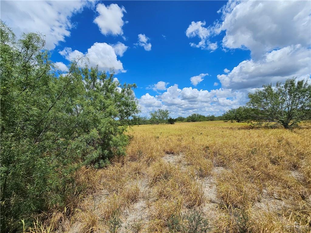 210 Carla Street, Zapata, Texas image 3