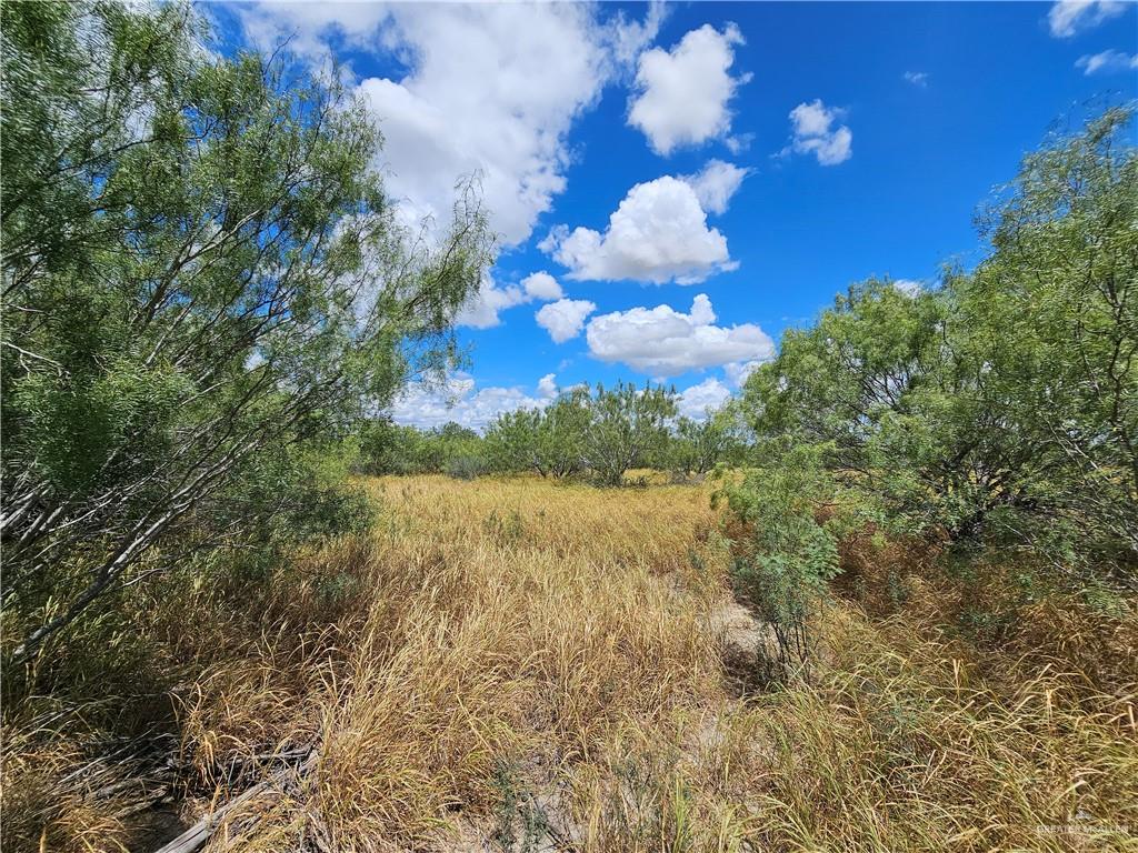 210 Carla Street, Zapata, Texas image 4