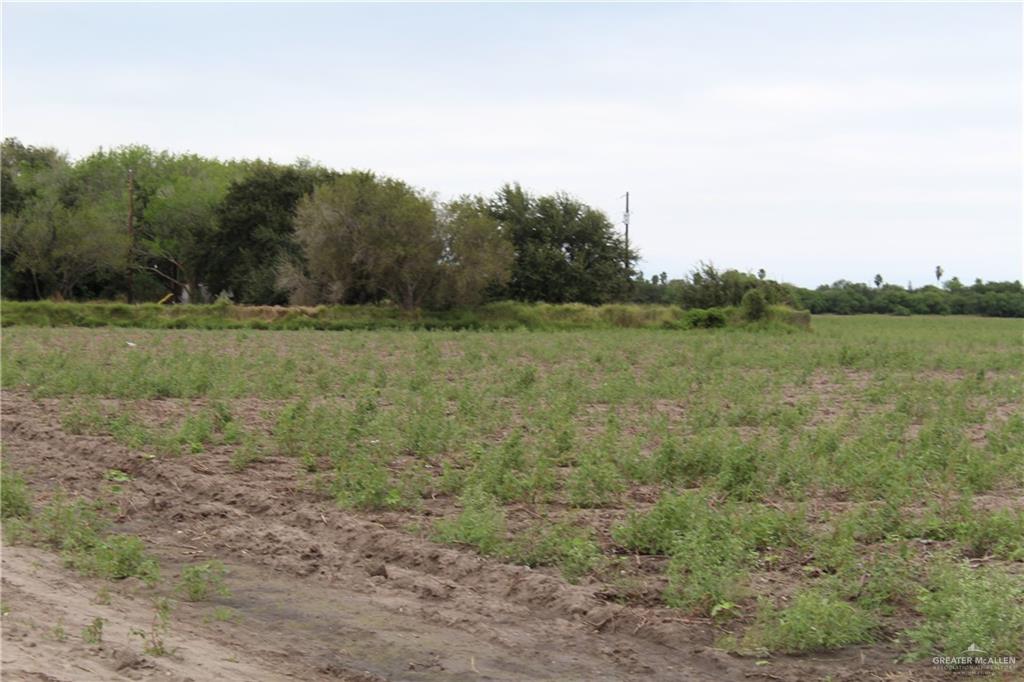 028 N Mile 4 West Road, Weslaco, Texas image 8