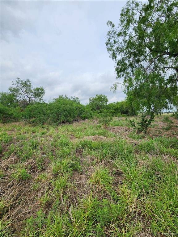 N/a Ranchito Street, Edinburg, Texas image 1