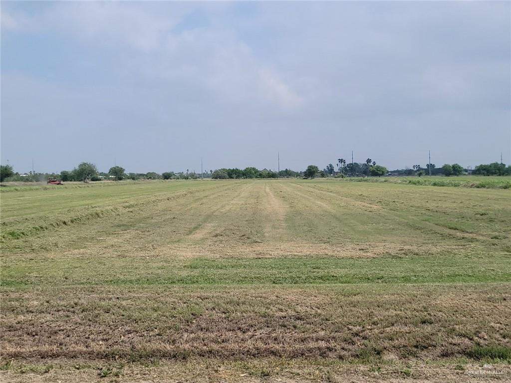 Earling Road, Alamo, Texas image 2