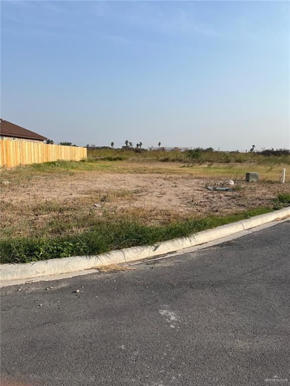 206 San Benito Street, San Juan, Texas image 1