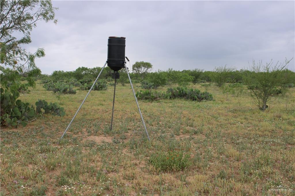1809 County Road 287, Concepcion, Texas image 7