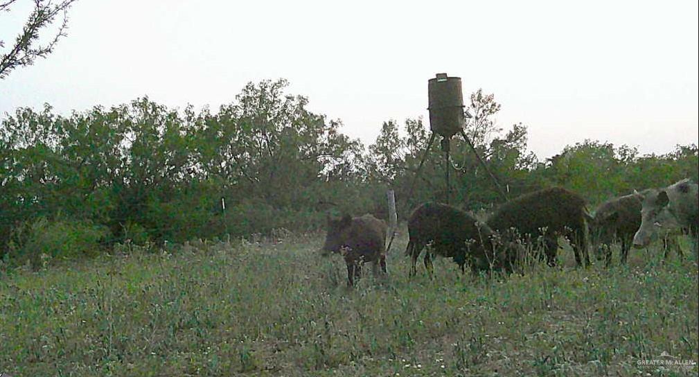 1809 County Road 287, Concepcion, Texas image 17