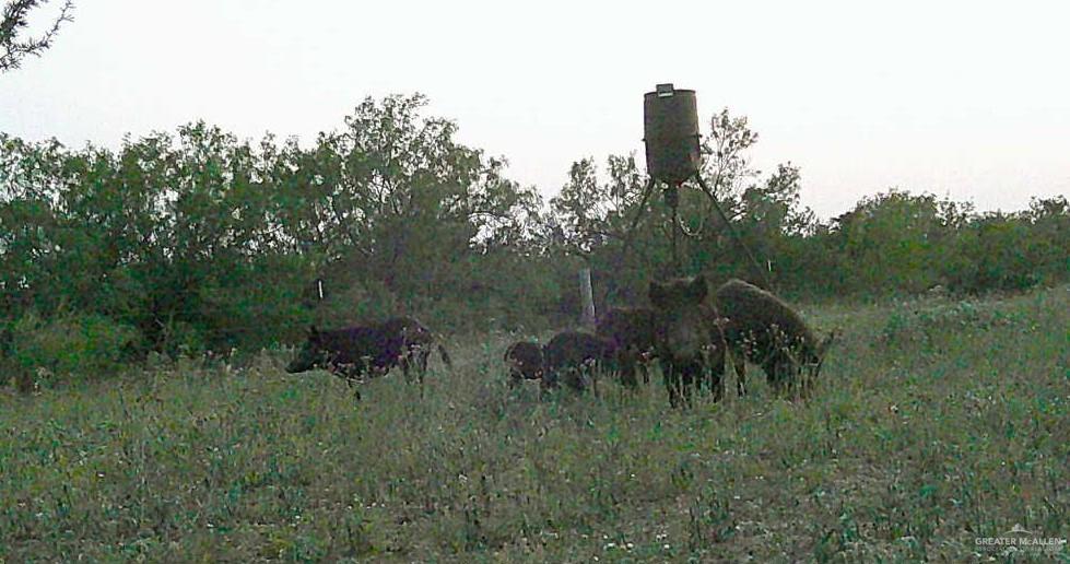 1809 County Road 287, Concepcion, Texas image 15