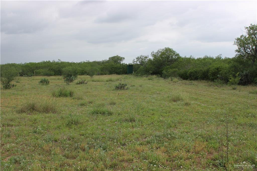 1809 County Road 287, Concepcion, Texas image 8