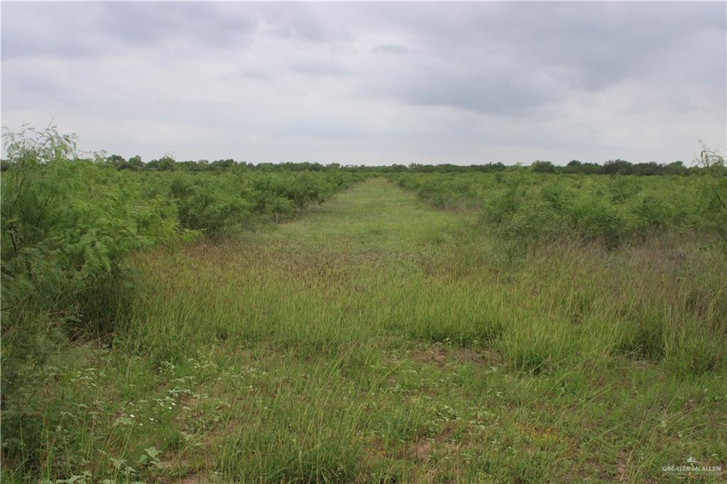 1809 County Road 287, Concepcion, Texas image 6