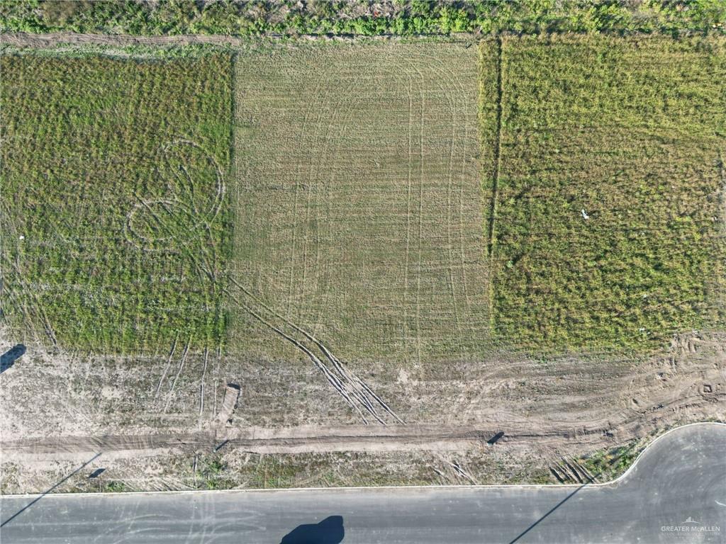1014 Highland Avenue, Weslaco, Texas image 4