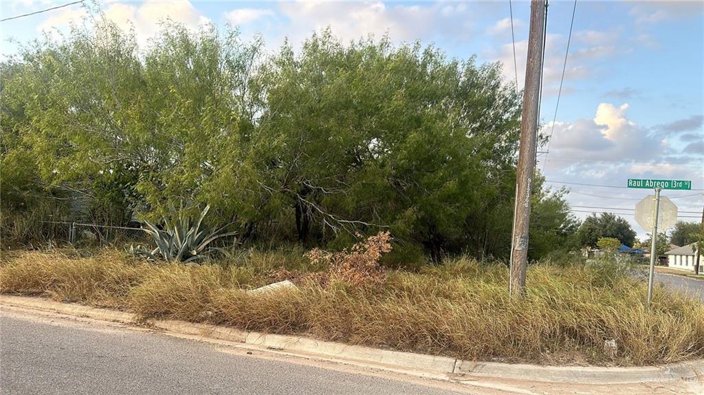 133 E 3rd Street, San Juan, Texas image 1