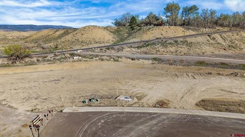 Photo of 339 Big Pines Loop, Montrose, CO 81401 (MLS # 833027)