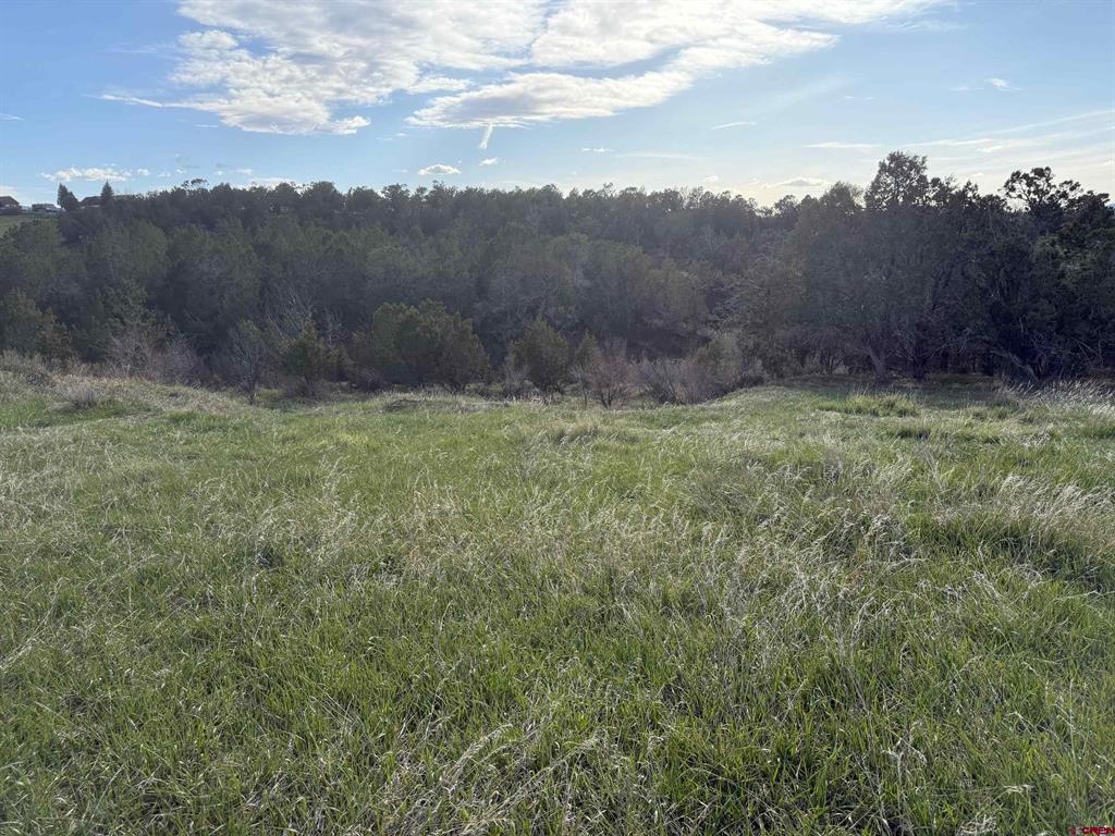 14495 Scott Loop