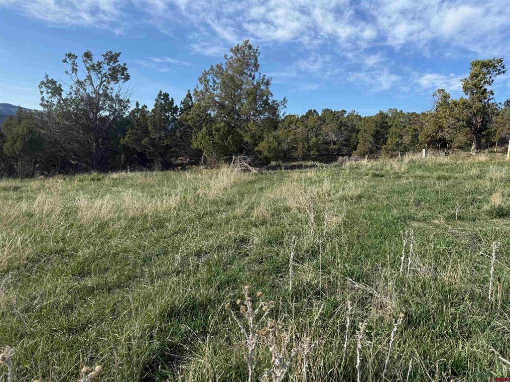 14495 Scott Loop