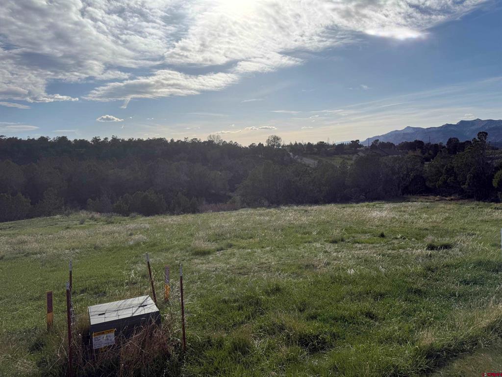 14495 Scott Loop