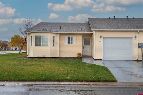 1951 Dubonnet Court Montrose CO 81401