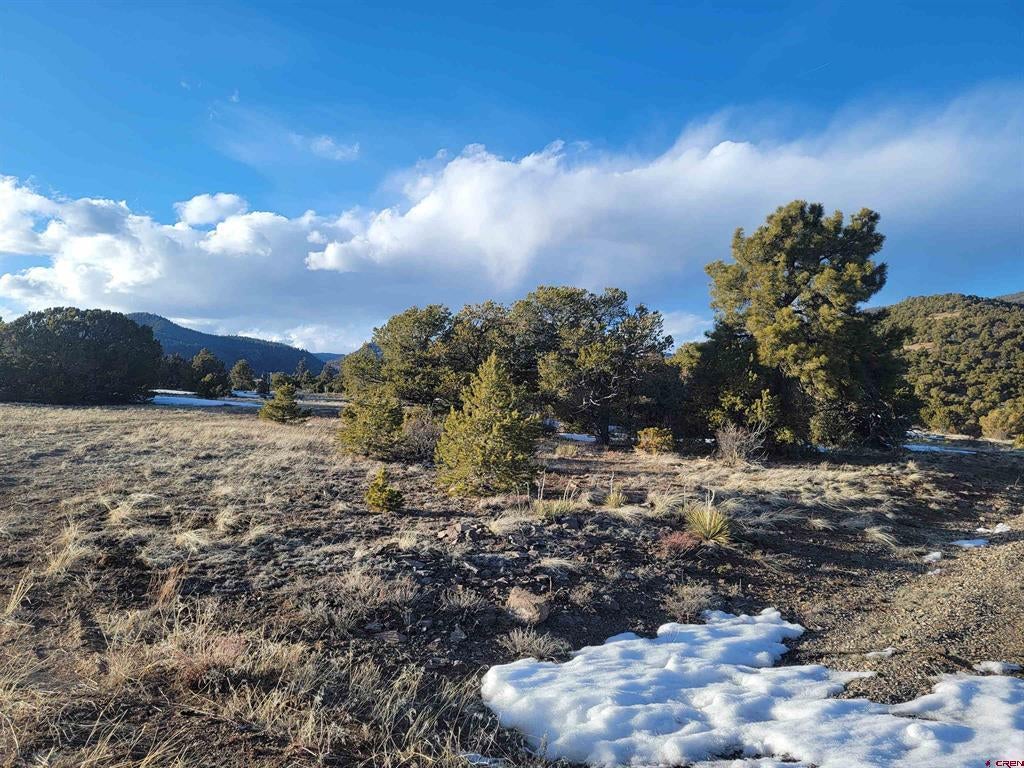 4413 Bear Creek Circle