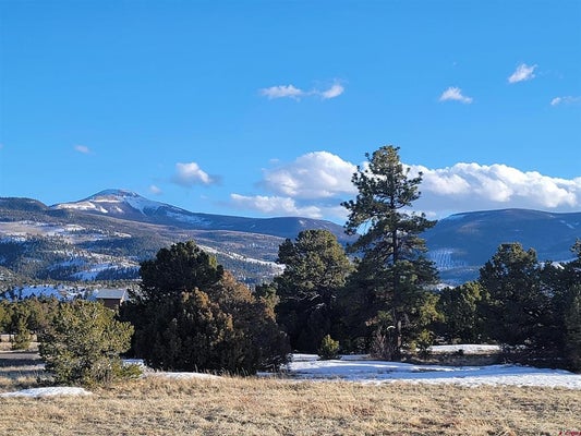 4413 BEAR CREEK CIR, SOUTH FORK, CO 81154 - Image 00a597c934ba027335ce59bf2c9c164d/592118182