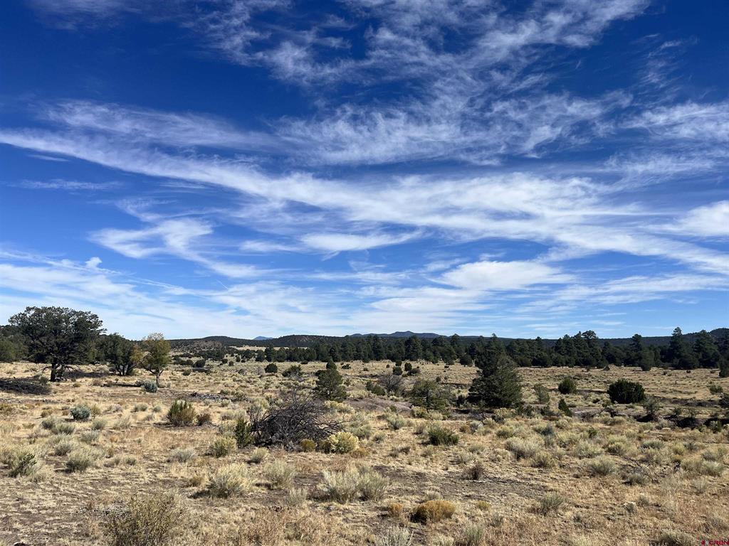 000 Forest Road 19 Road Mangitas Springs Ranch